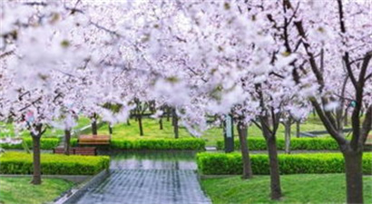 机械工程师杂志（机械工程师的“一日”）